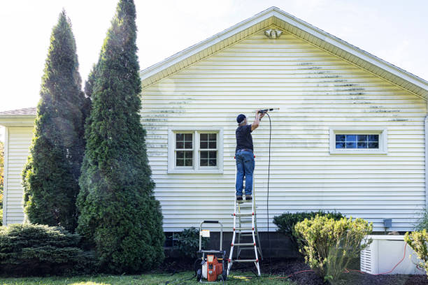 Best Affordable Pressure Washing  in Nederland, TX