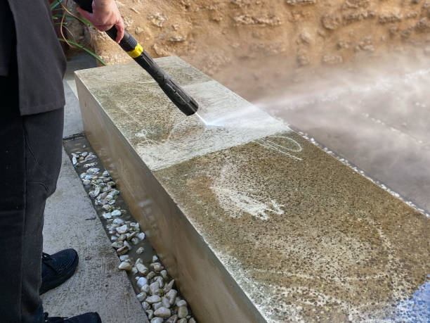 Best Exterior Home Cleaning  in Nederland, TX